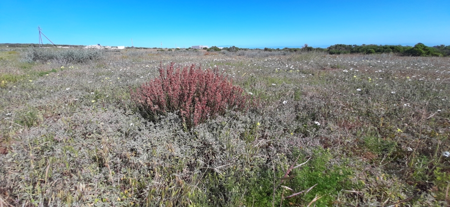 0 Bedroom Property for Sale in Jacobsbaai Western Cape